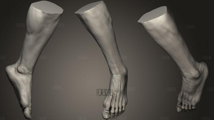 Male Foot 11 stl model for CNC